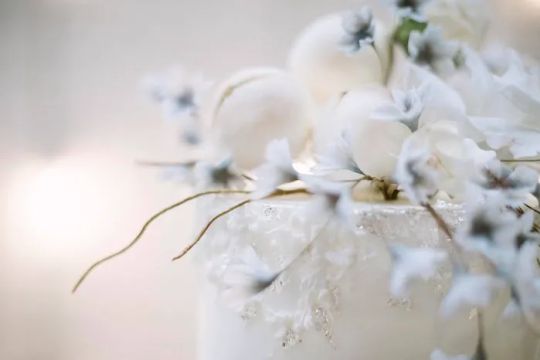 Elaine Drouin Cakes