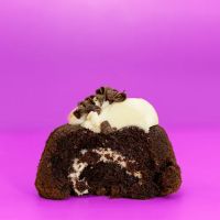Sugar Shane's ico
