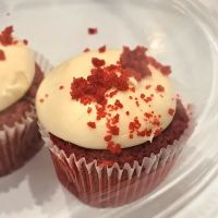 CamiCakes Cupcakes ico