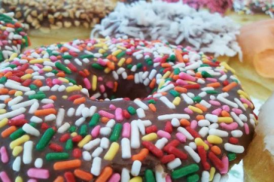 Sarah Donuts