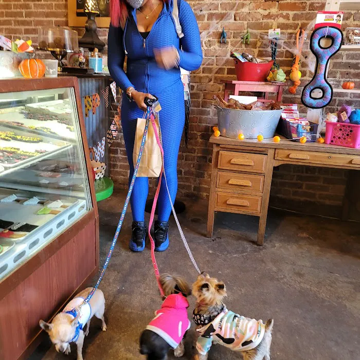 Taj Ma-Hound Bakery for Dogs Picture 8