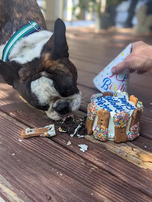 Taj Ma-Hound Bakery for Dogs Picture 10