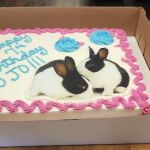 Cindy's Tasty Cakes LLC