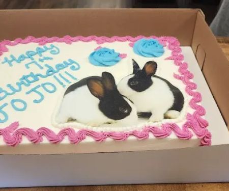 Cindy's Tasty Cakes LLC