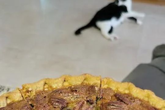 Lola's Sugar Pie Bakery