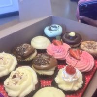 Smallcakes Stockbridge ico