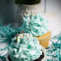 The Sweet Spot Baking Company ico