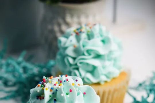 The Sweet Spot Baking Company