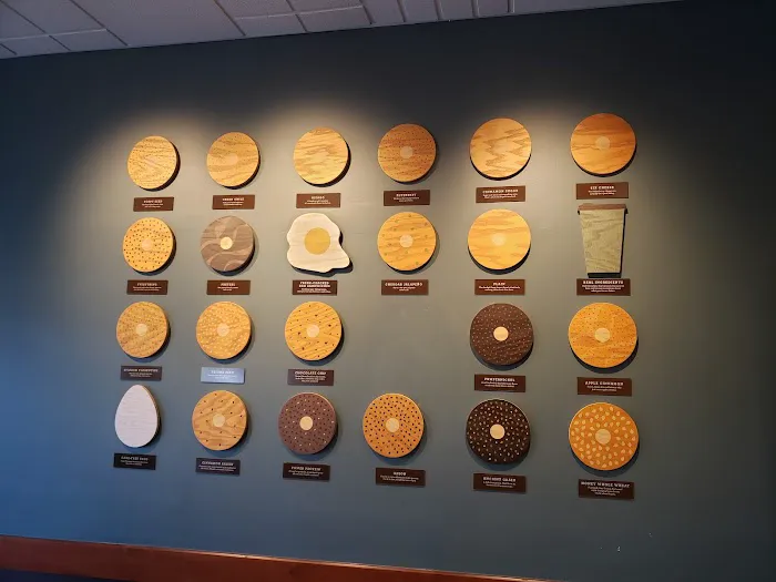 Einstein Bros. Bagels Picture 5