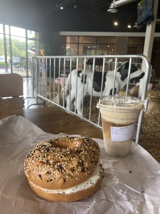 Mason's Bagels Picture 10