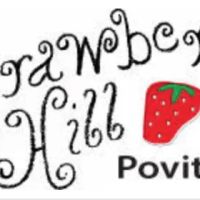 Strawberry Hill Baking Company ico