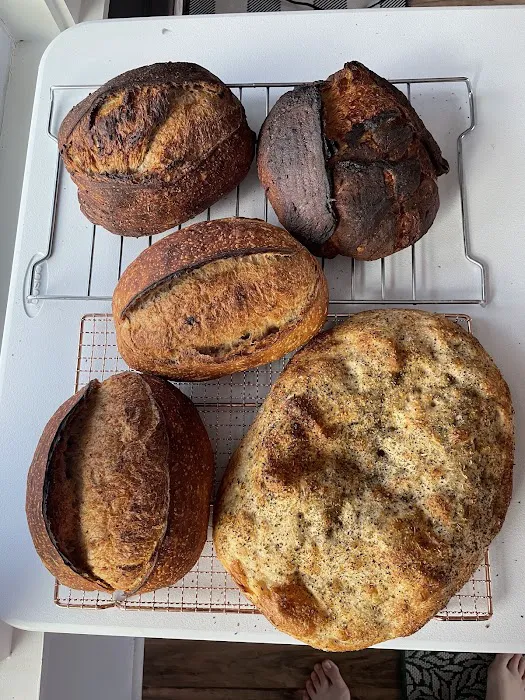 Armour Hills Bakery (Online Orders Only) Picture 6