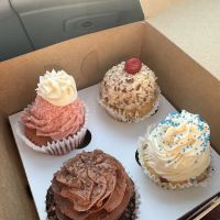 Cupcake A La Mode ico