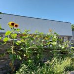 Heirloom Bakery & Hearth