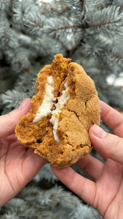 Quarantine Cookie Picture 9