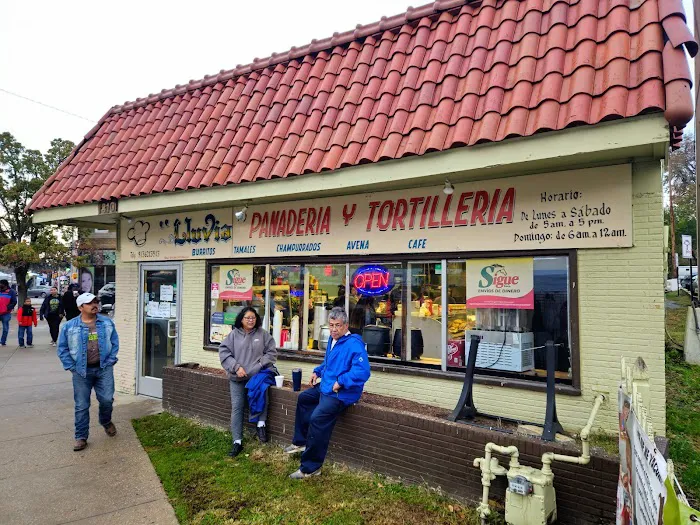 Lluvia Panaderia & Tortilleria Picture 8