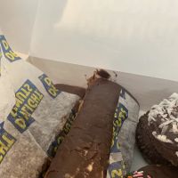 Daylight Coffee & Donuts - Basehor ico