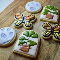 Bug and Bear ico