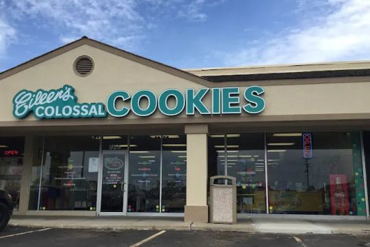 Eileen's Colossal Cookies