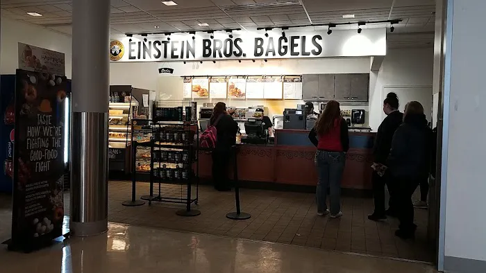 Einstein Bros. Bagels Picture 6