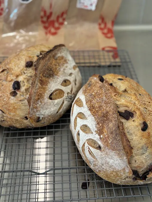 A Bit of Leaven Picture 9