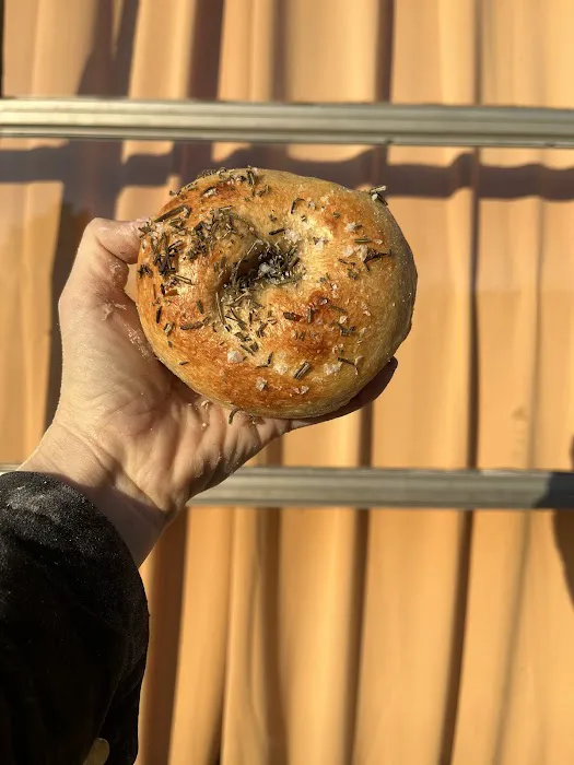 All or Nothing Bagels Picture 5