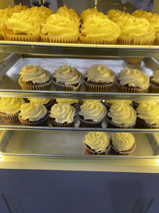 The Cupcake Collection Picture 3