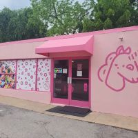 Pink Door Cookies ico