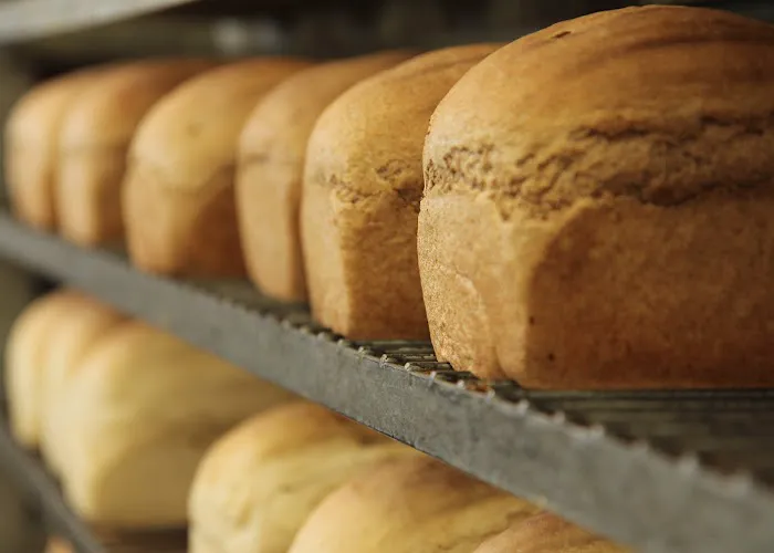 Great Harvest Bread Co. Picture 2