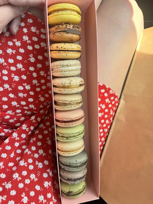 Little Gourmand Picture 3