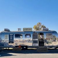 tiny little donuts - east franklin, tn ico