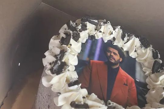 Kailey Cakes