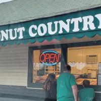 Donut Country ico