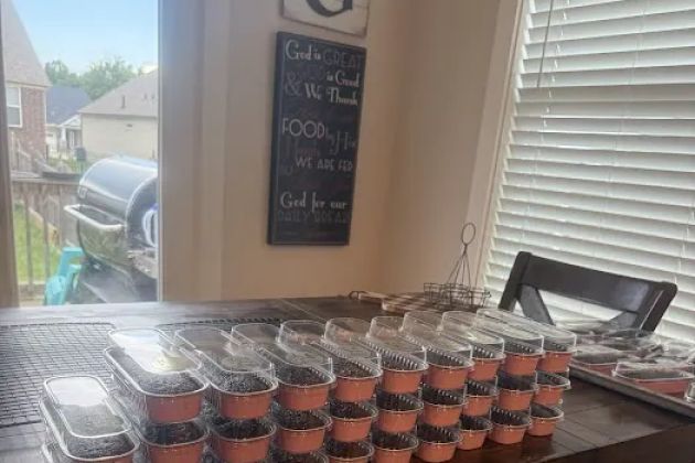 The Confections Parlor