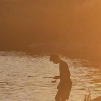 Wholesome Cravings ico