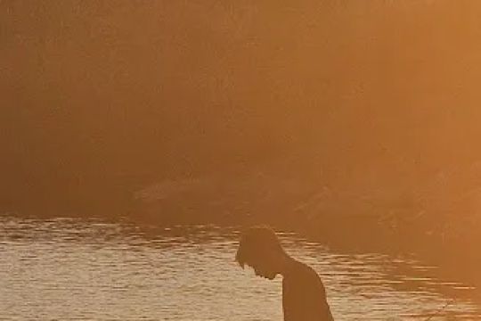 Wholesome Cravings