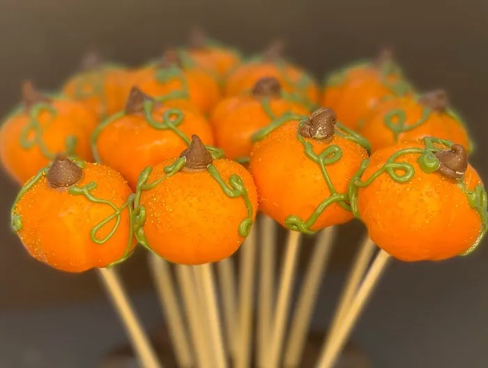 Colorado Cake Pops Picture 6