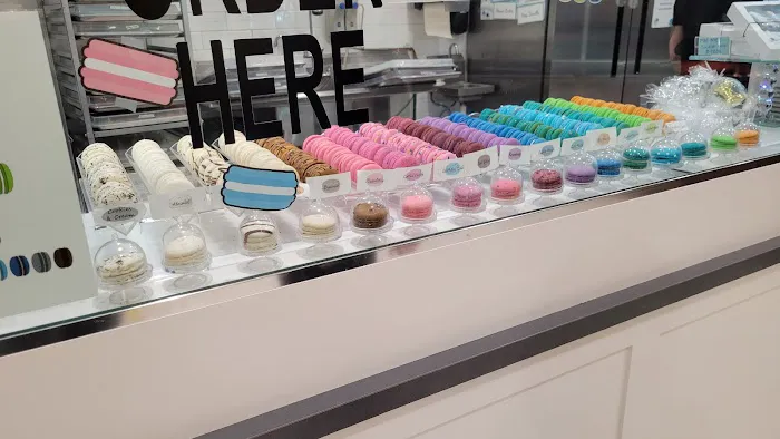 Macarons By Maddie Lu Picture 1