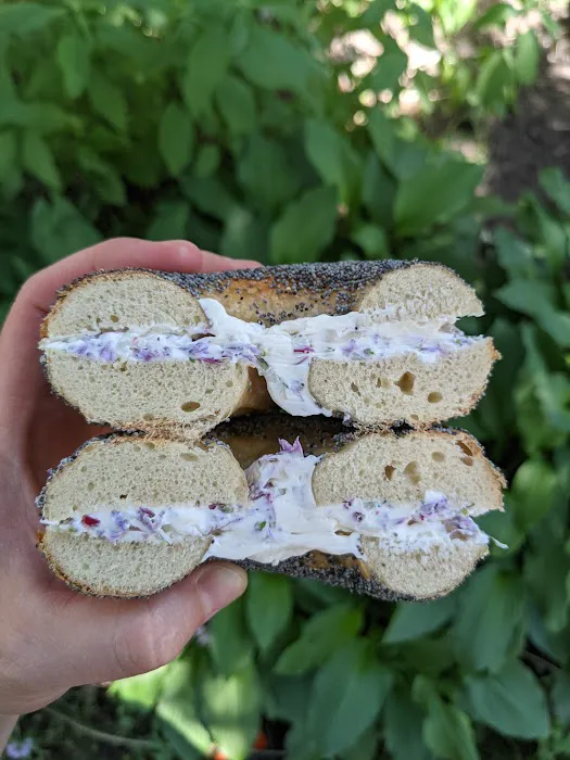 Asa's Bakery Picture 10
