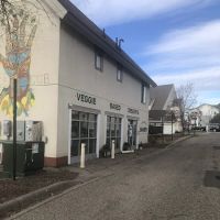 Green Garden Bakery ico