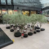 Cardigan Donuts - IDS Center ico