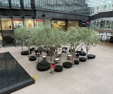 Cardigan Donuts - IDS Center