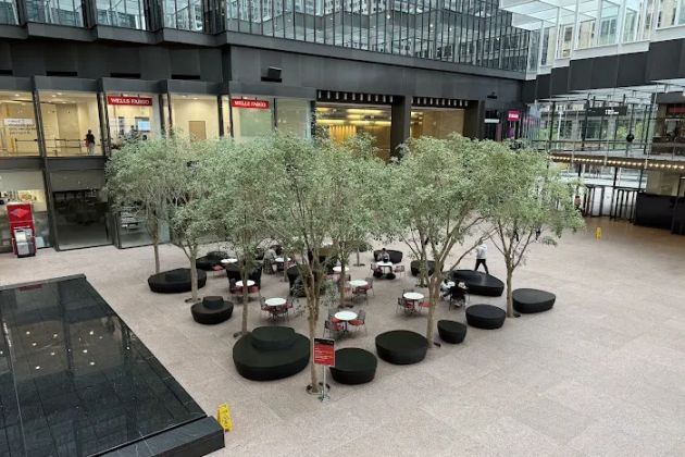 Cardigan Donuts - IDS Center