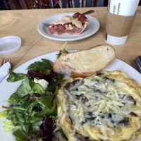 Turtle Bread Company ico