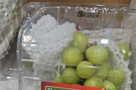 Costco Bakery