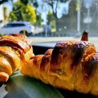 Street Wheat ico