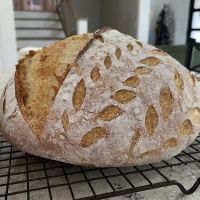 Wildflour Bread Co. ico