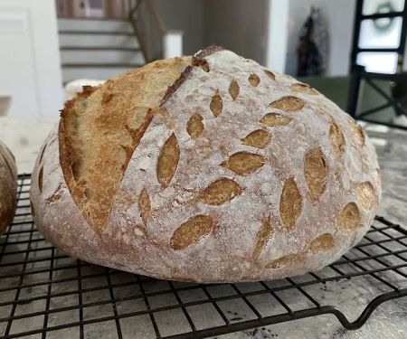 Wildflour Bread Co.