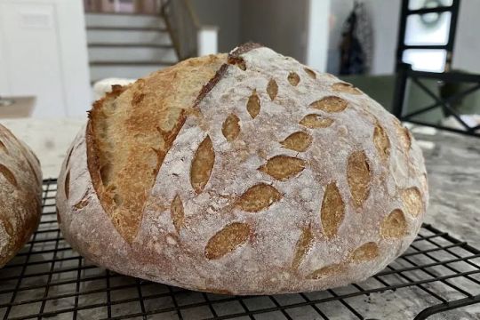 Wildflour Bread Co.