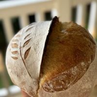 Moonpetal Cottage ico